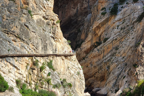 Málaga: Tour guidato del Caminito del Rey con trasporto