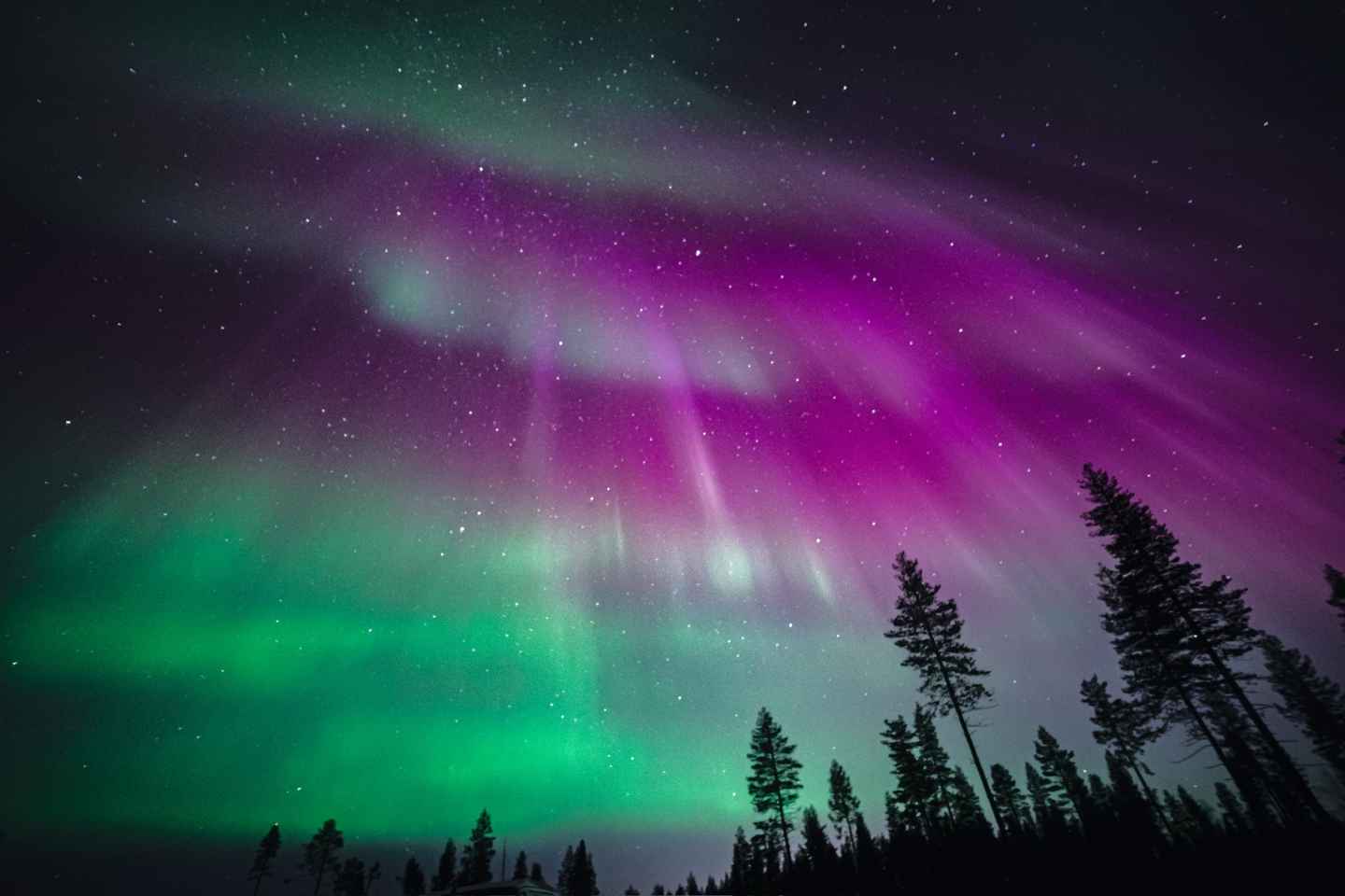 Rovaniemi: Northern Lights Tour w/ Guaranteed View & Photos