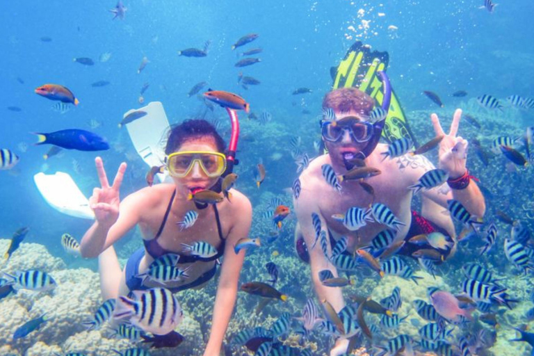 Yogyakarta Sadranan Beach Canoeing and Snorkeling Adventure