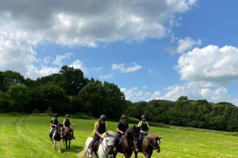 Private Tour from Bucharest to UNESCO Monasteries, Moldavia