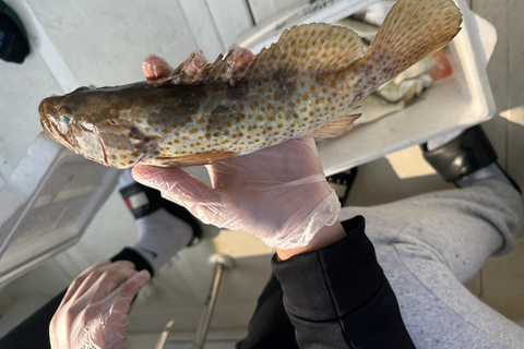 Doha: All Inclusive Guided Fishing Trip Doha: All Inclusive Guided Fishing Trip (1 to 7 people)