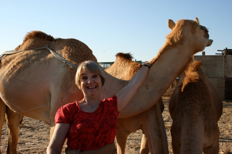 Agadir : Vallée du Paradis + balade à dos de chameau et repas dans une ancienne kasbah