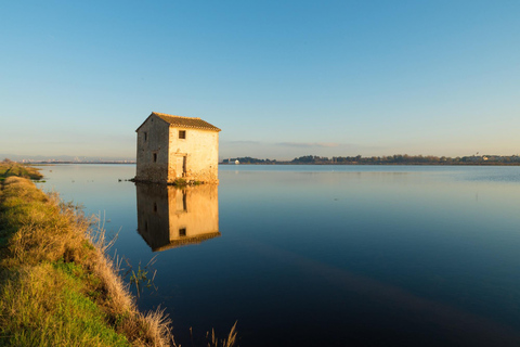 Da Valencia: Tour privato dell&#039;Albufera, Paella e giro in barcaDa Valencia: Tour dell&#039;Albufera con Paella, giro in barca e passeggiata