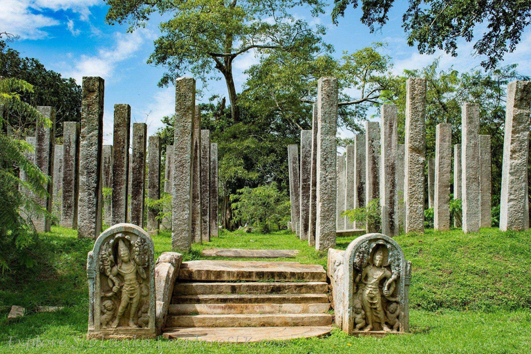 Ancient Polonnaruwa Stories & Minneriya Safari from Sigiriya