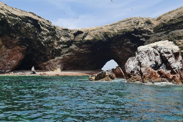 Lima: Trasferimento + Paracas + HuacachinaLima: Trasferimento + Paracas+ Huacachina