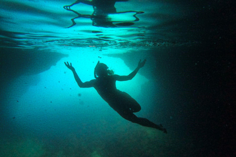 Dubrovnik: Blue Cave and Green Caves Boat Tour from Old City
