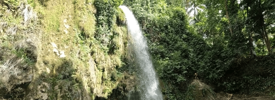 Cebu : Circuit des chutes d'eau d'Inambakan, de Kawasan et de Mantayupan