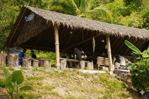 Phuket: City Highlights & Elephant Sanctuary with Lunch