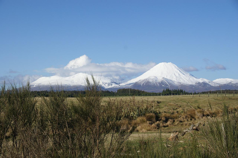 Północny Park Narodowy Tongariro i wędrówki na rakietach śnieżnych