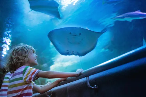Aquarium, Wax Museum, Snow World, Wild Park