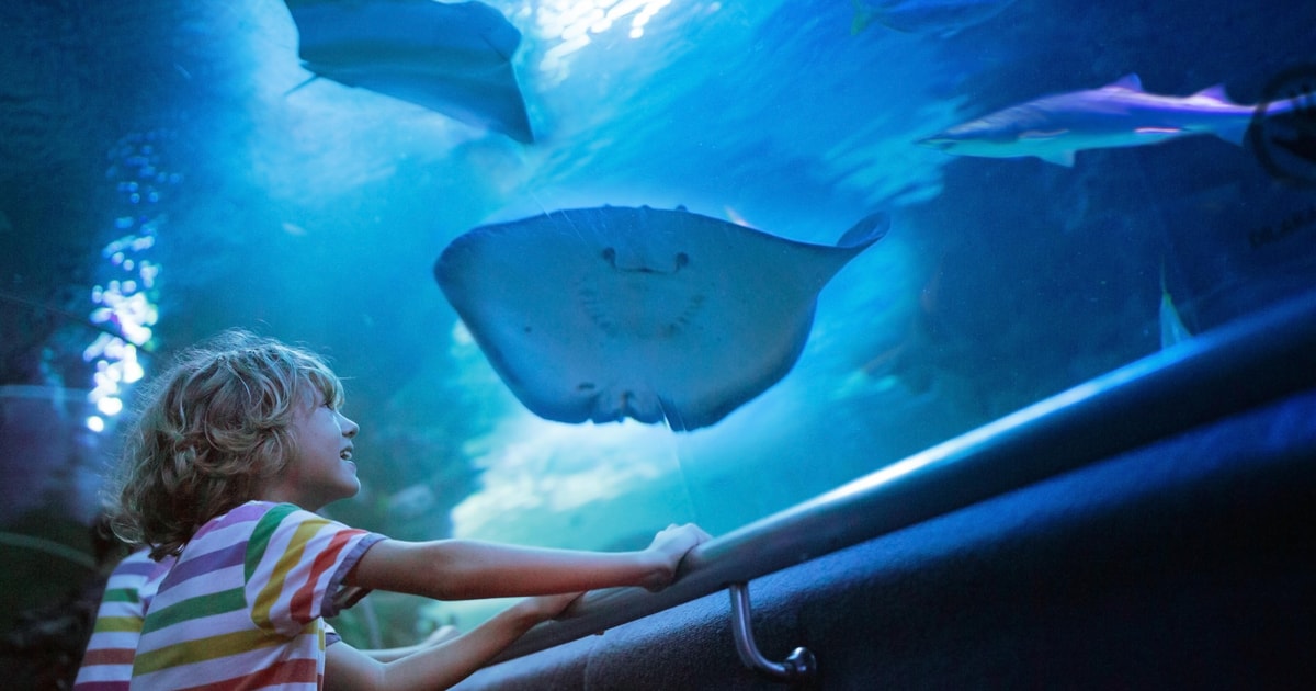 Antalya: Aquarium, Wax Museum, Snow World Wild Park Ticket