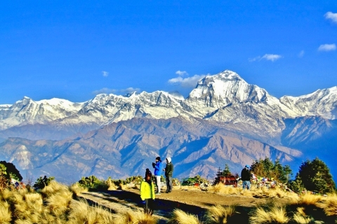 Vanuit Pokhara: 6-daagse privé Poon Hill Trek via Hot-SpringVanuit Pokhara: schilderachtige 6-daagse Poon Hill-tocht via Hot-Spring