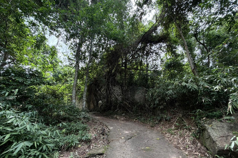 From Colombo: Gampaha District Temples & Jungle Hike Tour