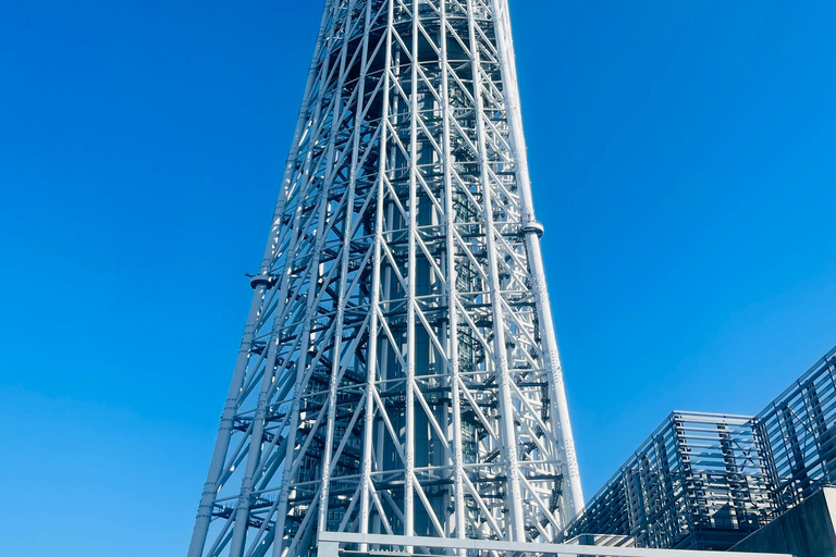 Tokyo Private Luxury City Tour with Professional Guide