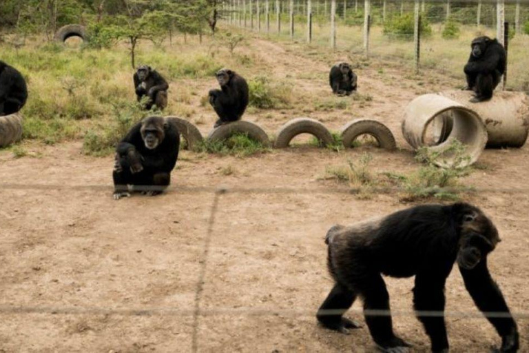 3 jours et 2 nuits Safari dans le conservatoire d'Ol Pejeta