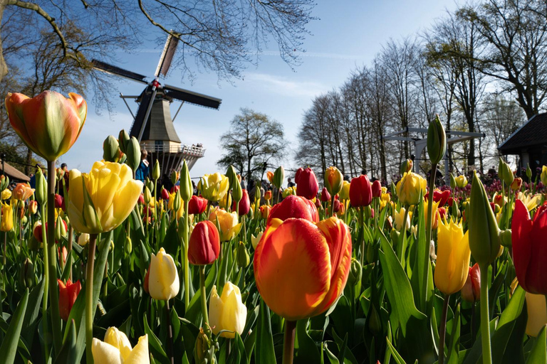 The Hague: Tour to Keukenhof Gardens plus Entry Ticket