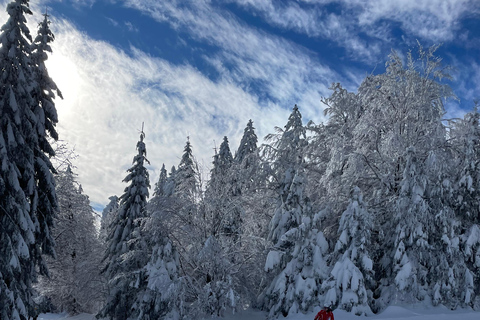 Guided ski tours in the Bavarian Forest