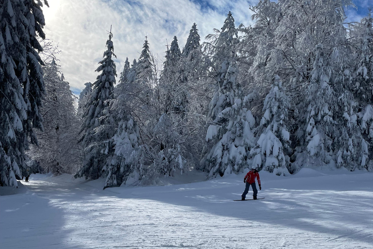 Guidade skidturer i Bayerska skogen