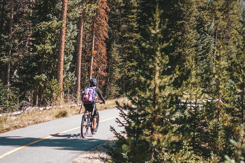 Moab: Adventure E-Bike Half-Day Rental