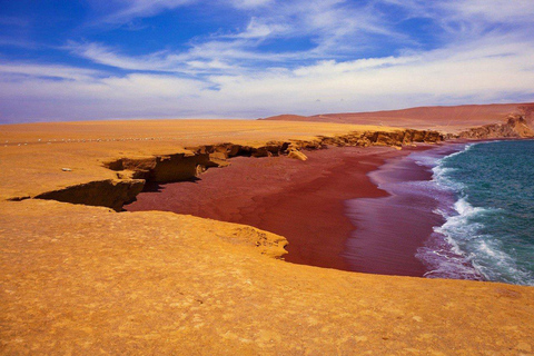 From Paracas: Ballestas Islands Tour + ATV