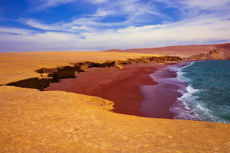 From Paracas: Ballestas Islands Tour + ATV