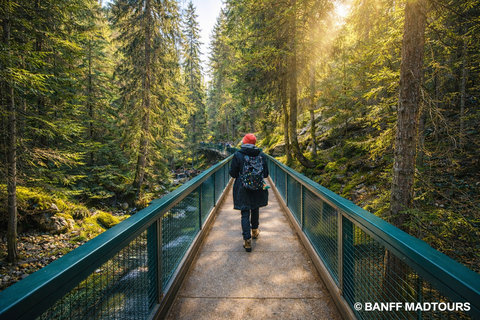 Banff: Lake Louise, Moraine Lake, Johnston, Banff Photo Tour