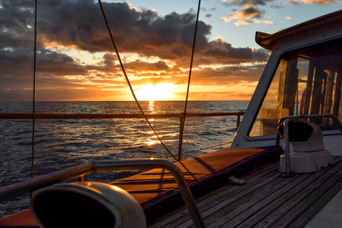 Funchal : observation des dauphins et des baleines au coucher du soleil