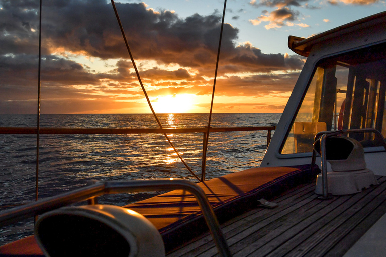 Funchal: Dolphin and Whale Watching Sunset Tour