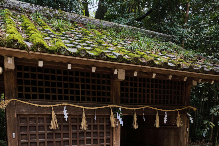 Kyoto Uji: Matcha Tea Ceremony, Tea Museum & Byodoin Temple Kyoto: Uji: Matcha Tea Ceremony, Tea Museum & Byodoin Temple