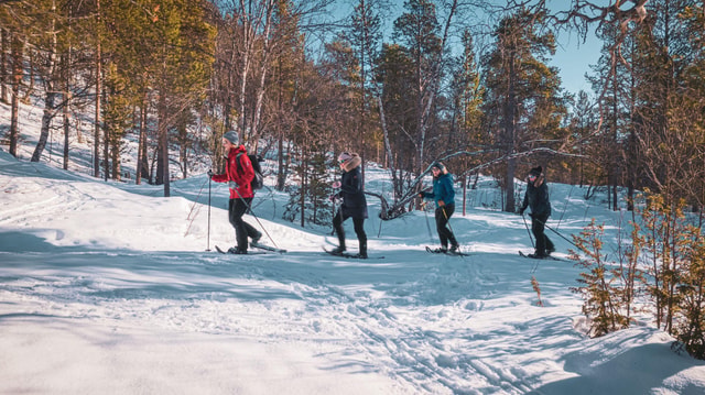 Alta: Easy Guided Snowshoe Hike with Bonfire