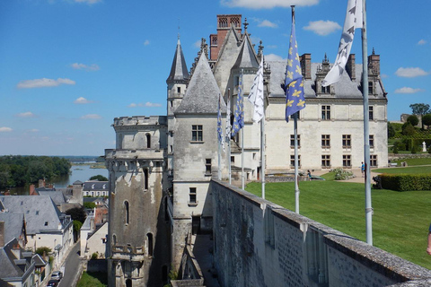 Royal Loire E-bike day: Amboise, Chenonceau & Wine Tasting