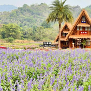 Bangkok: Khao Yai, Emerald Spring & Hokkaido Flower Park Bangkok: Khao Yai, Emerald Spring & Hokkaido Flower Park