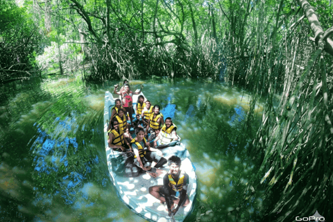 Bentota: Private Mangrove Cave Boat Tour & Wildlife Safari 1-Hour River Highlights Safari