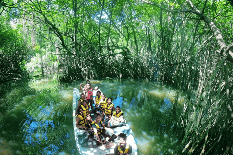 Bentota: Private Mangrove Cave Boat Tour & Wildlife Safari 1-Hour River Highlights Safari