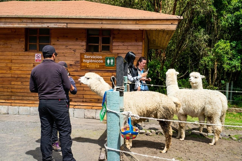 Cotopaxi: All-Inclusive Sightseeing Tour with Visit to Limpiopungo Lagoon Cotopaxi: All-Inclusive Sightseeing Tour with a Visit to Laguna de Limpiopungo