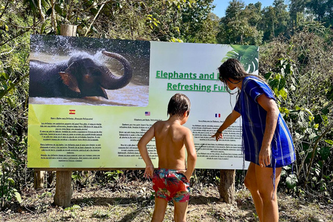 Chiang Mai : Visite de deux jours du sanctuaire du Temple des éléphants