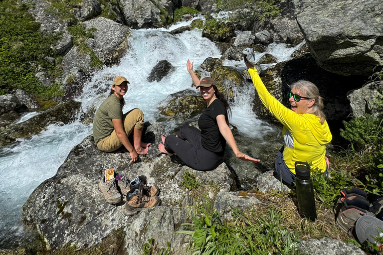 Palmer Hidden Waterfalls Guided Backcountry Hike