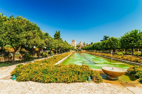 Córdoba: Umfassende Sightseeing-TourTour auf Französisch