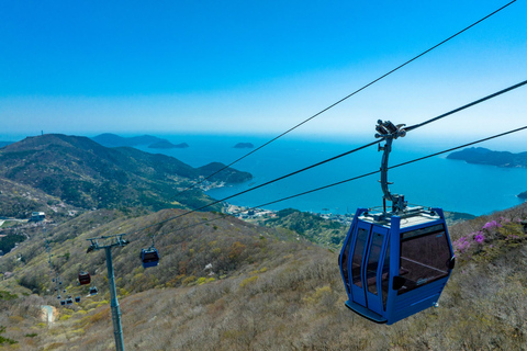 Oedo Island Botania & Geoje Private Day Tour from Busan