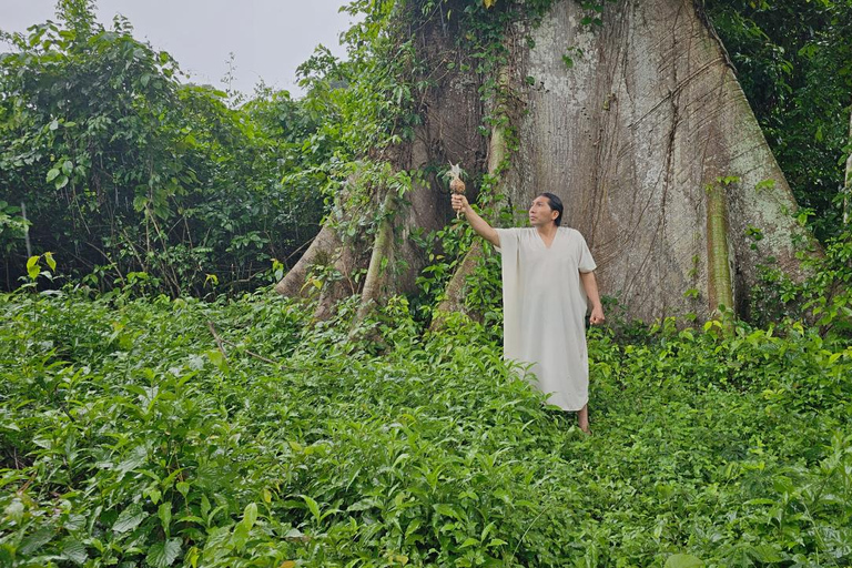 Palenque: Rafting and Hiking in the Lacandona Jungle