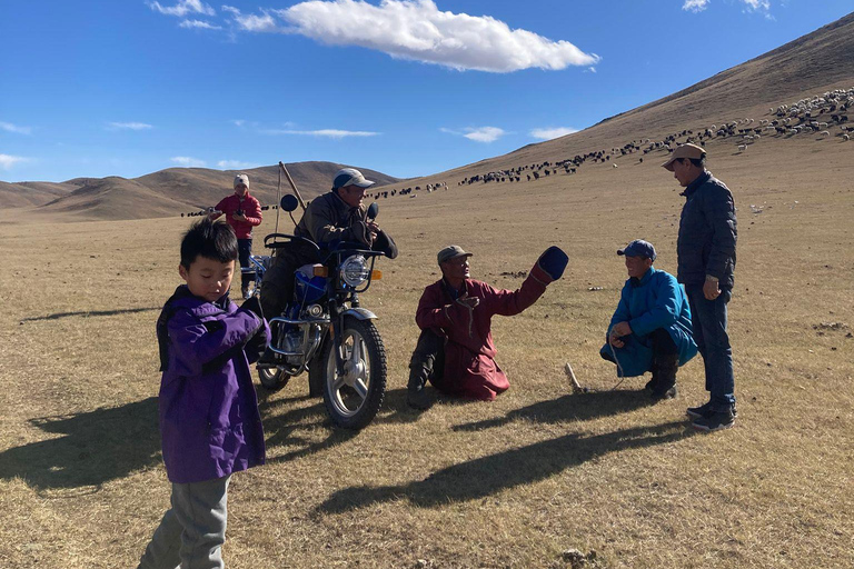 From Ulaanbaatar: 8-Day Gobi Desert and Orkhon Valley Tour