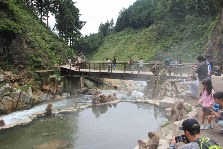 Private Nagano Luxury Cultural & Nature Day Tour from Tokyo