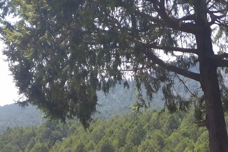 Addis: Yeka Cave, Public Transport & Botanic Garden
