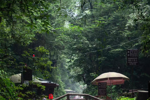 Chengdu: Dujiangyan & Qingcheng Mountain Entry Ticket