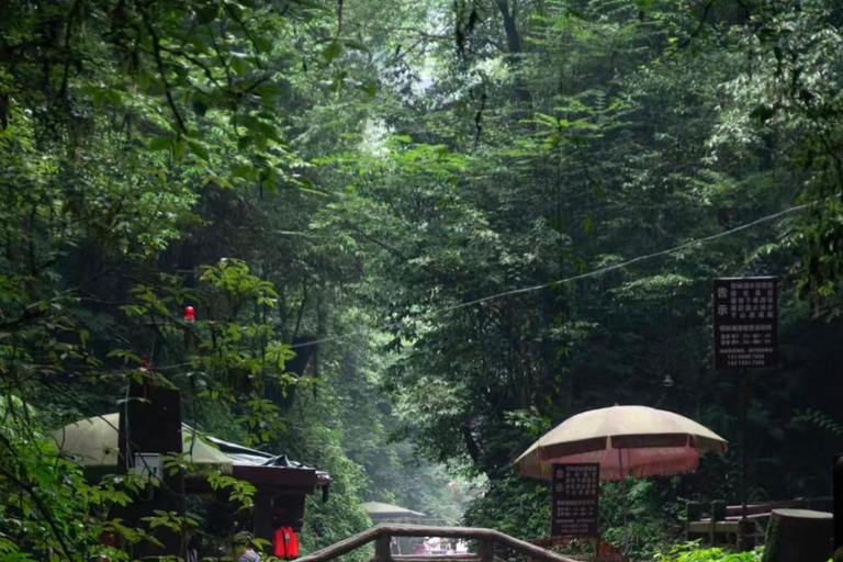 Chengdu: Dujiangyan & Qingcheng Mountain Entry Ticket