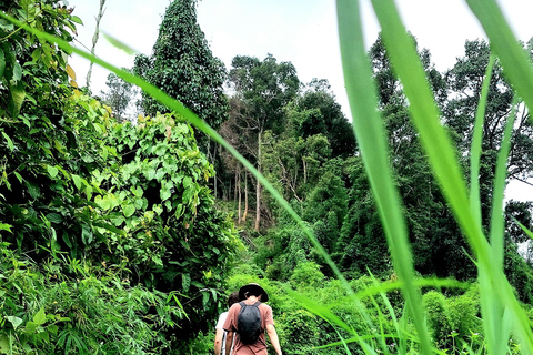 Chiang Mai: highlight One day trekking & bamboo rafting