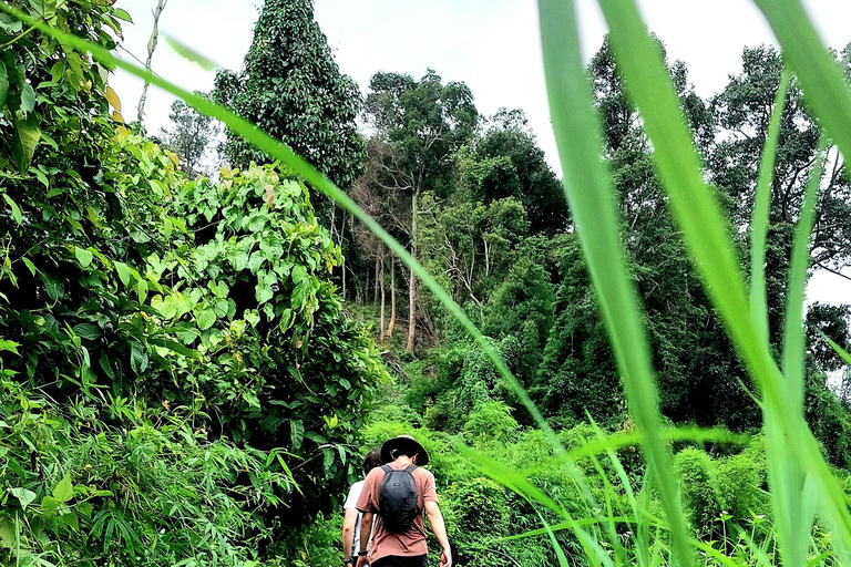 Chiang Mai: highlight One day trekking & bamboo rafting