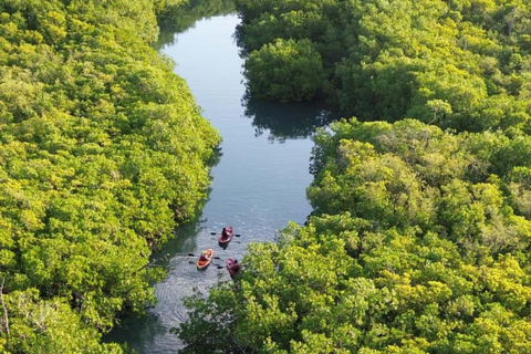 ZANZIBAR: Prison Island visit & Uzi Mangrove Kayak Tour PRIVATE TOUR INCLUDES HOTEL PICKUP AND DROP OFF