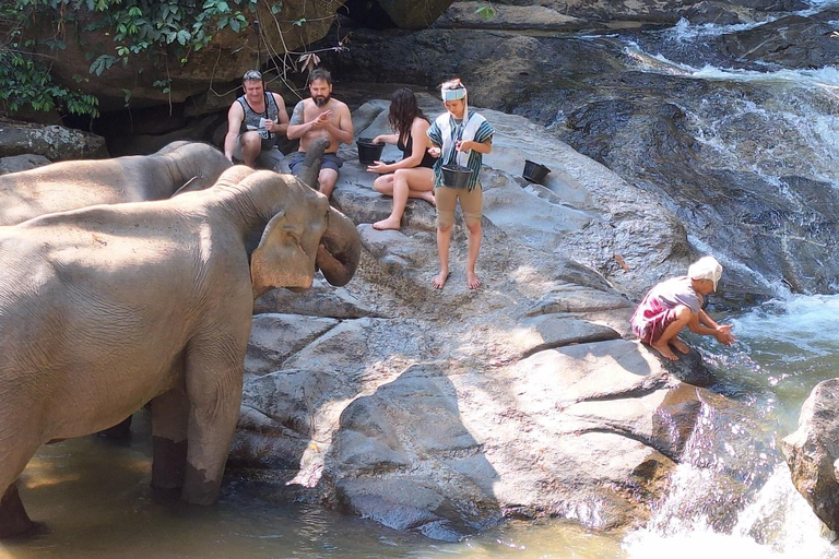 Chiang Mai: Cultural Immersion among the Karen.