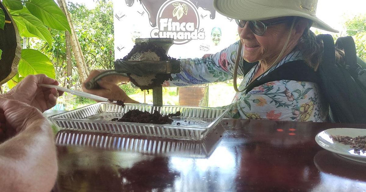 Guayaquil Short visit Chocolate making and cacao farm. GetYourGuide